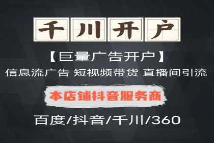 竞价推广策略：某电商平台的成功之路